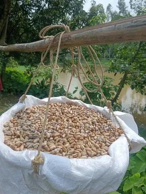 Date Seed Coffee