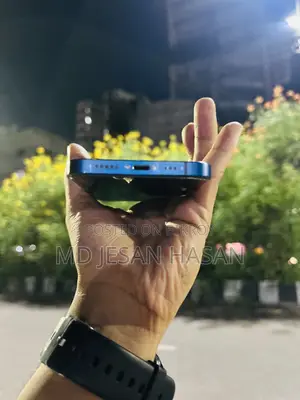 অ্যাপল আইফোন ১২ ২৫৬ জিবি নীল