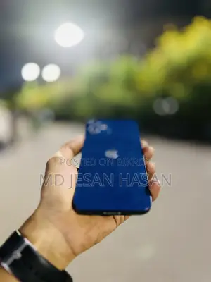 অ্যাপল আইফোন ১২ ২৫৬ জিবি নীল