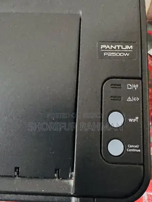 Printer - PANTUM P2500W