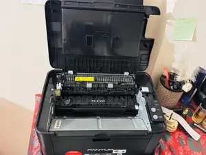 Printer - PANTUM P2500W