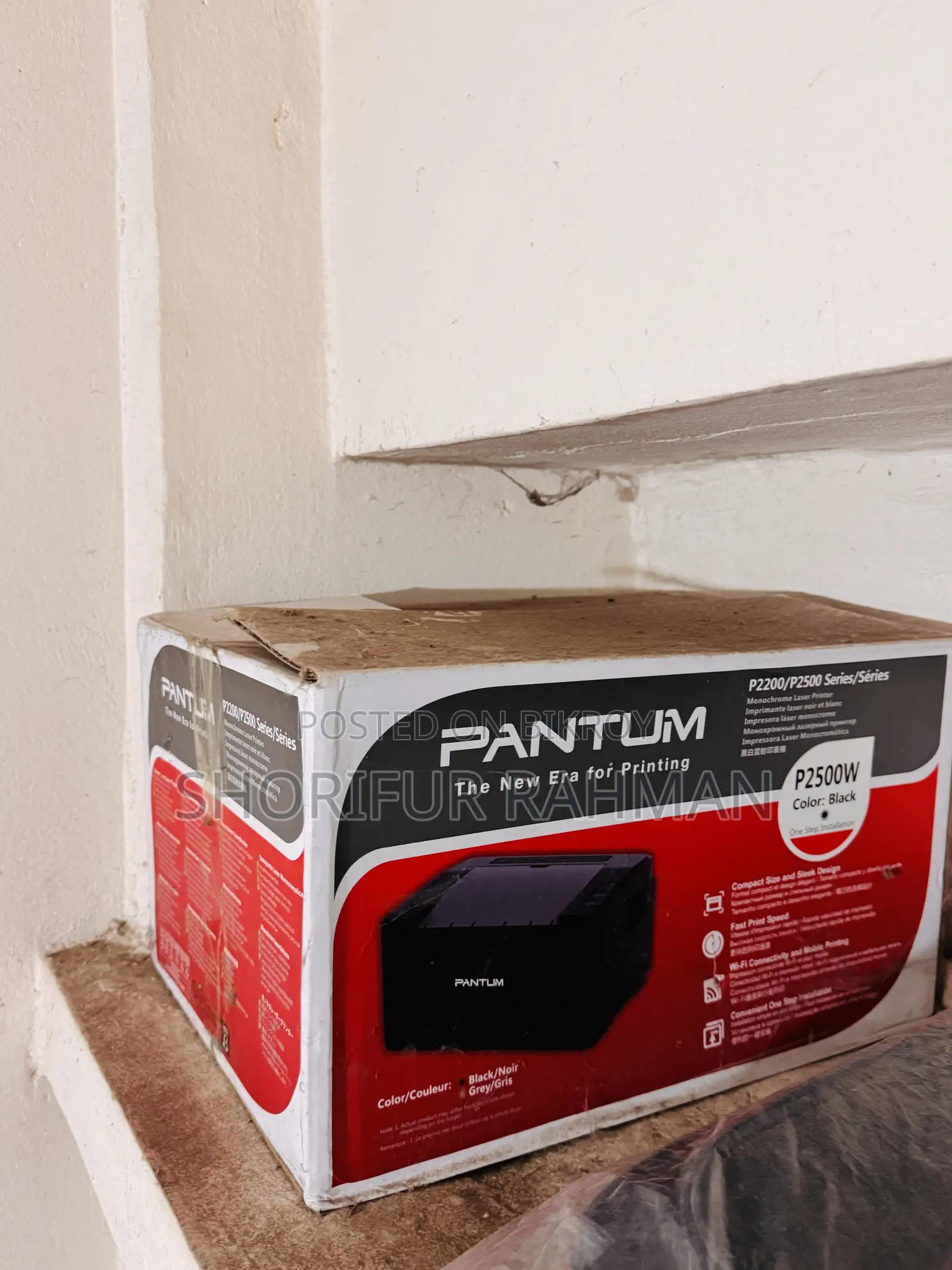 Printer - PANTUM P2500W