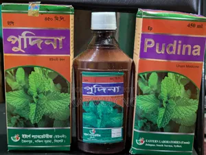 পুদিনা সিরাপ