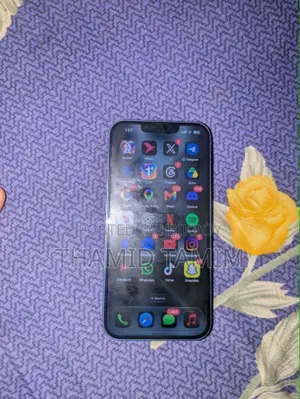অ্যাপল আইফোন ১৩ ২৫৬ জিবি ব্লু
