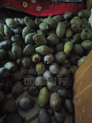 শুকনা নারকেল খুচর ও পাইকারি বিক্রি