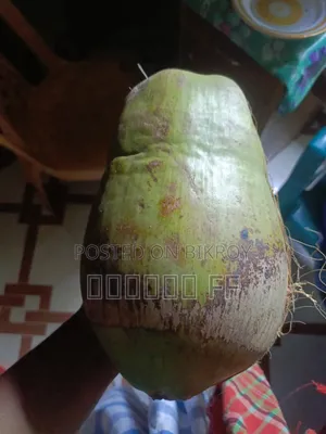 শুকনা নারকেল খুচর ও পাইকারি বিক্রি