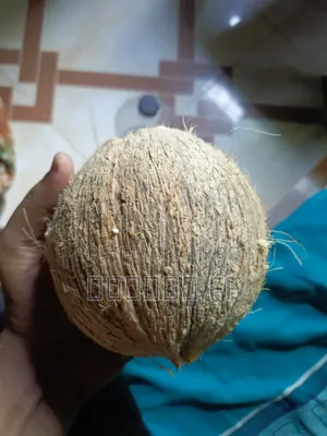 শুকনা নারকেল খুচর ও পাইকারি বিক্রি