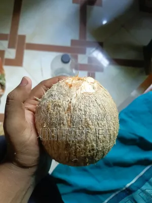 শুকনা নারকেল খুচর ও পাইকারি বিক্রি