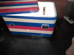 Egg Incubator