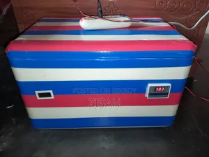 Egg Incubator