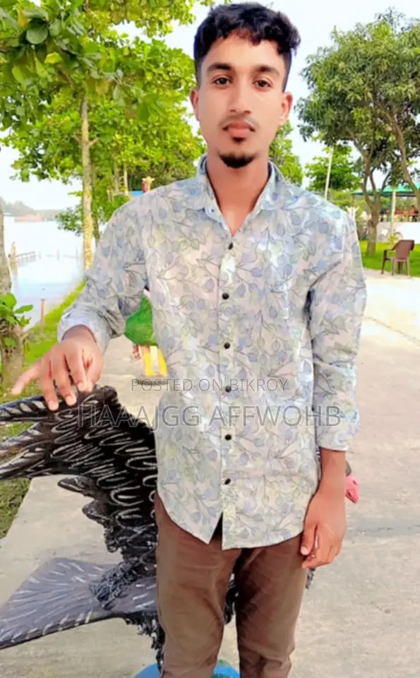 কম্পিউটার অপারেটর