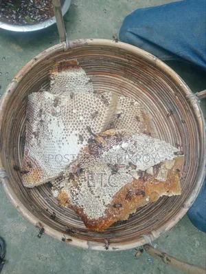 100% Original Beehive Honey