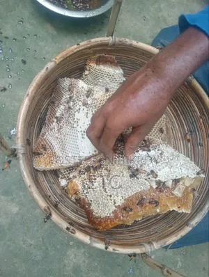 100% Original Beehive Honey