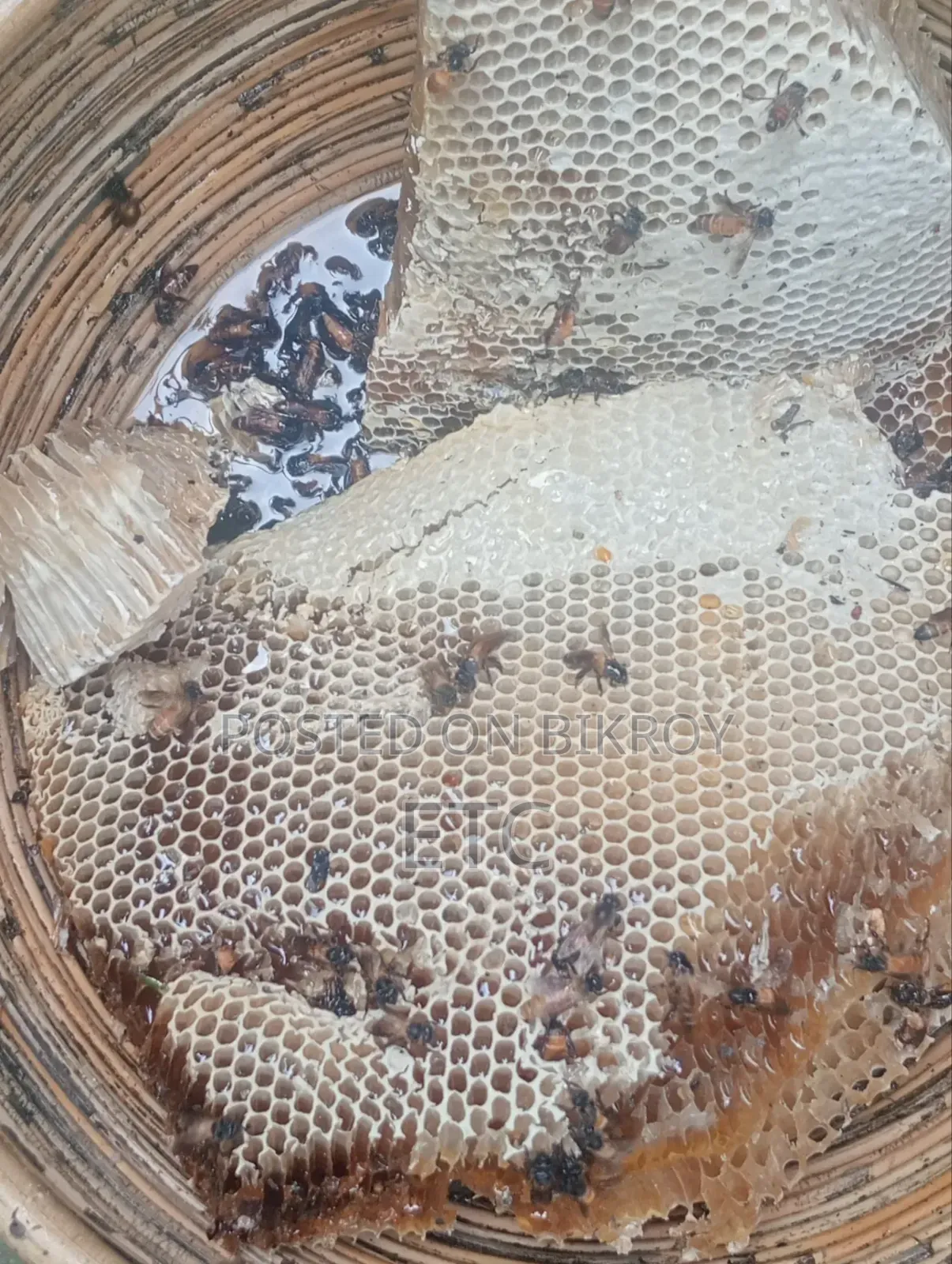 100% Original Beehive Honey