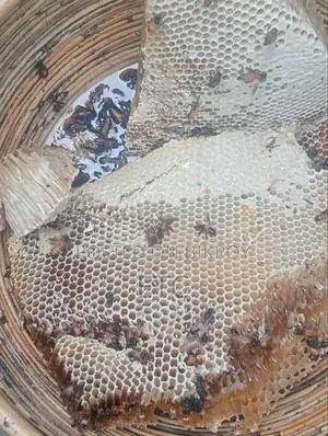 100% Original Beehive Honey
