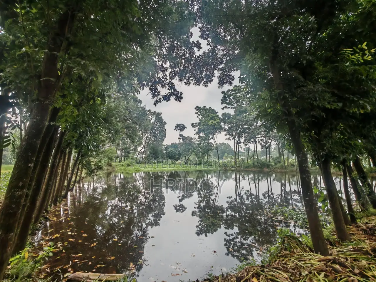গাজীপুর সাব-রেজিস্ট্রি অফিসের উত্তর পাশে ৮১ শতাংশ পুকুরসহ বাগানবাড়ি