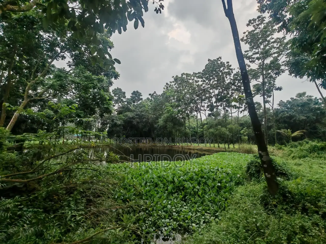 গাজীপুর সাব-রেজিস্ট্রি অফিসের উত্তর পাশে ৮১ শতাংশ পুকুরসহ বাগানবাড়ি
