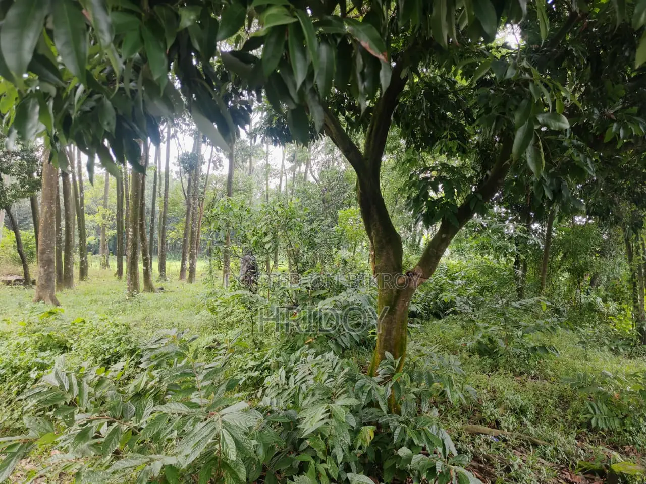 গাজীপুর সাব-রেজিস্ট্রি অফিসের উত্তর পাশে ৮১ শতাংশ পুকুরসহ বাগানবাড়ি