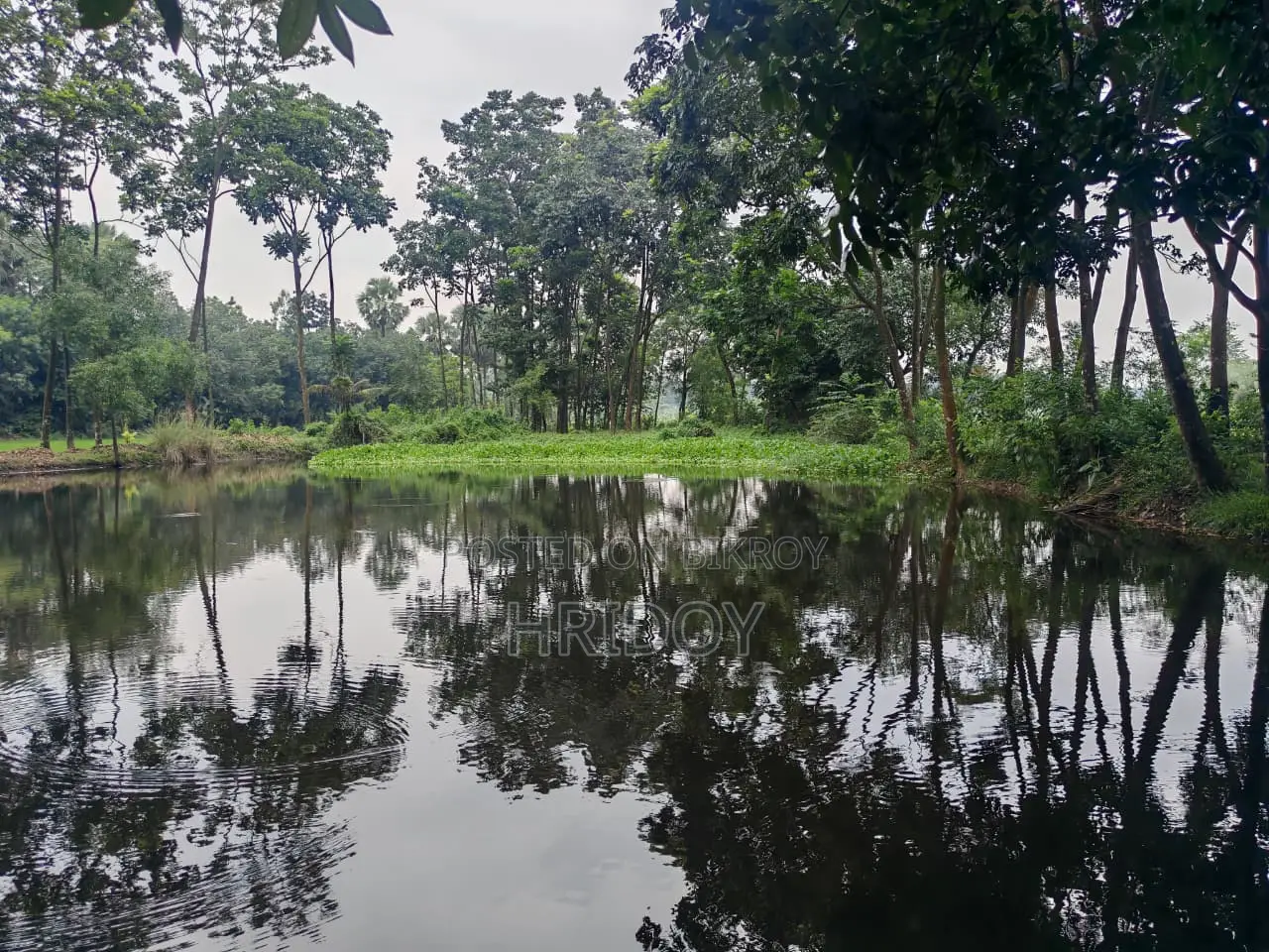 গাজীপুর সাব-রেজিস্ট্রি অফিসের উত্তর পাশে ৮১ শতাংশ পুকুরসহ বাগানবাড়ি