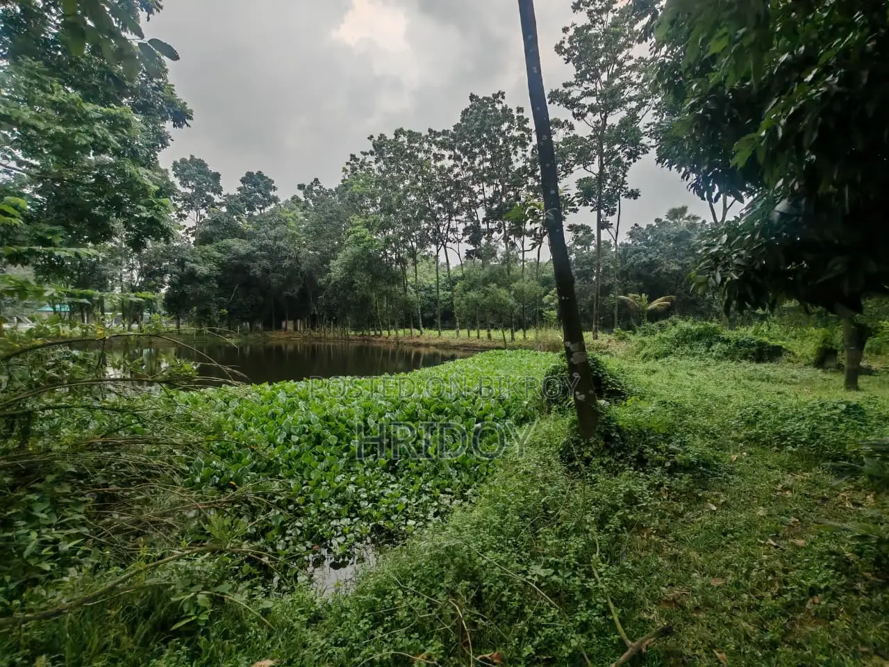 গাজীপুর সাব-রেজিস্ট্রি অফিসের উত্তর পাশে ৮১ শতাংশ পুকুরসহ বাগানবাড়ি