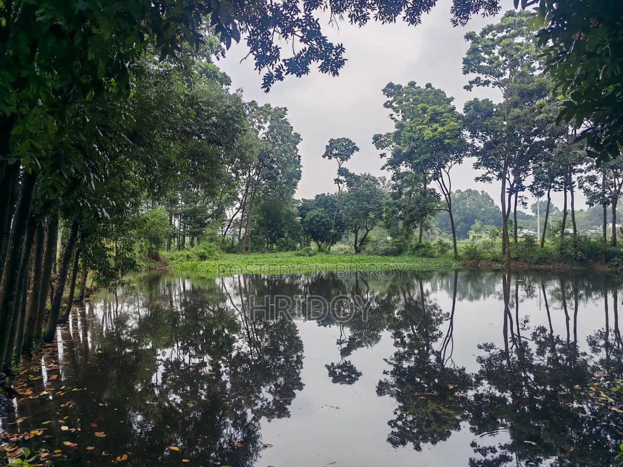 গাজীপুর সাব-রেজিস্ট্রি অফিসের উত্তর পাশে ৮১ শতাংশ পুকুরসহ বাগানবাড়ি