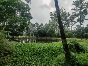 গাজীপুর সাব-রেজিস্ট্রি অফিসের উত্তর পাশে ৮১ শতাংশ পুকুরসহ বাগানবাড়ি