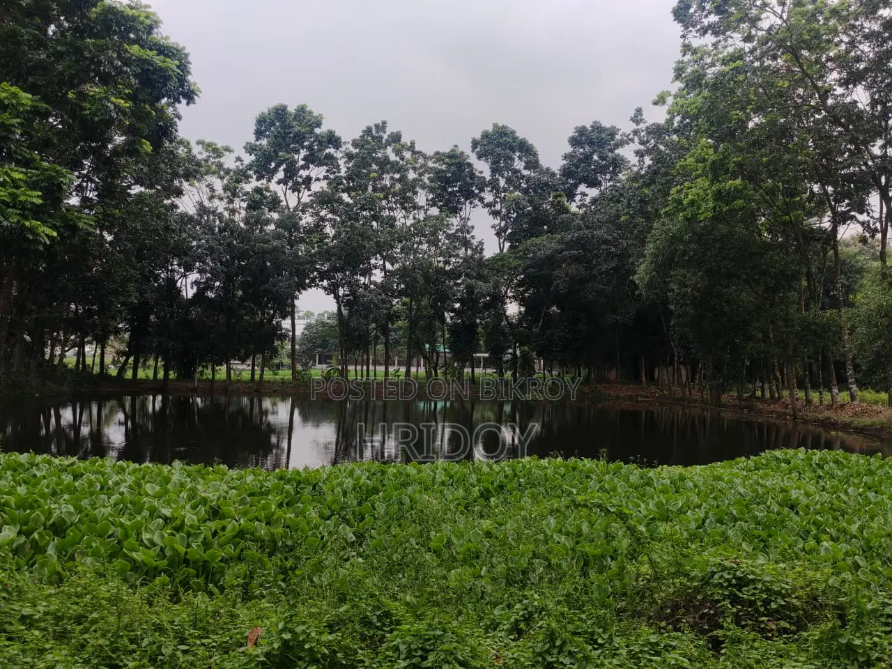 গাজীপুর সাব-রেজিস্ট্রি অফিসের উত্তর পাশে ৮১ শতাংশ পুকুরসহ বাগানবাড়ি