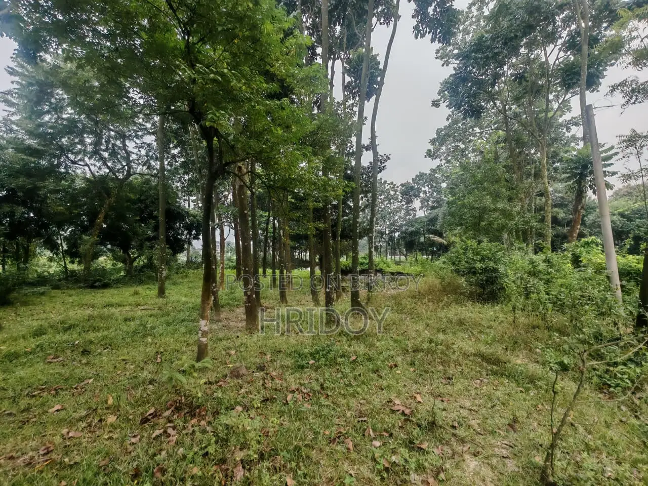 গাজীপুর সাব-রেজিস্ট্রি অফিসের উত্তর পাশে ৮১ শতাংশ পুকুরসহ বাগানবাড়ি