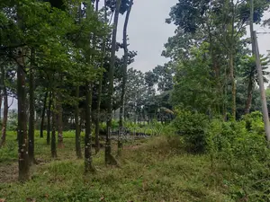 গাজীপুর সাব-রেজিস্ট্রি অফিসের উত্তর পাশে ৮১ শতাংশ পুকুরসহ বাগানবাড়ি