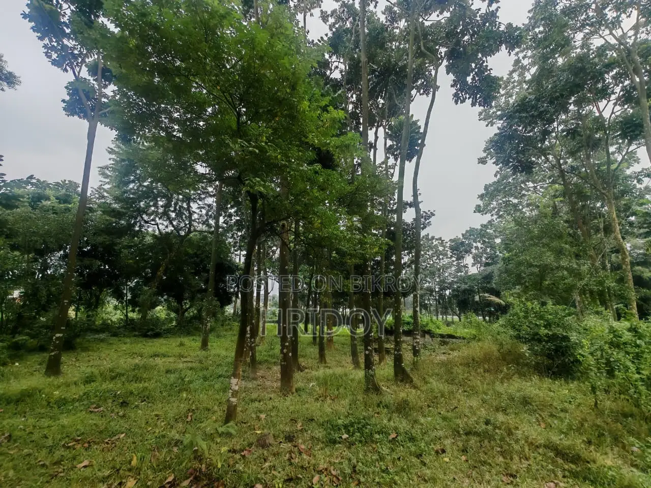 গাজীপুর সাব-রেজিস্ট্রি অফিসের উত্তর পাশে ৮১ শতাংশ পুকুরসহ বাগানবাড়ি