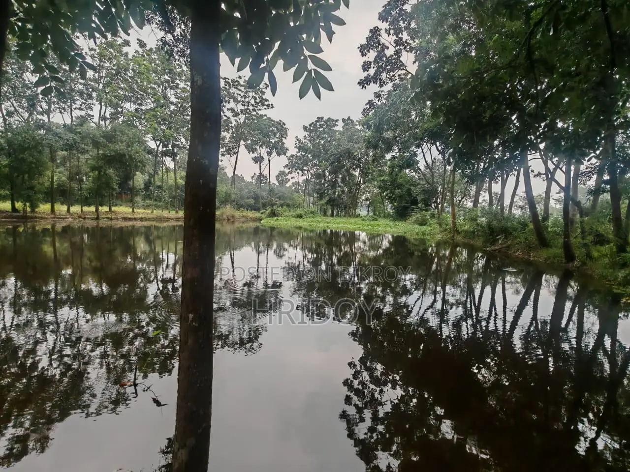 গাজীপুর সাব-রেজিস্ট্রি অফিসের উত্তর পাশে ৮১ শতাংশ পুকুরসহ বাগানবাড়ি