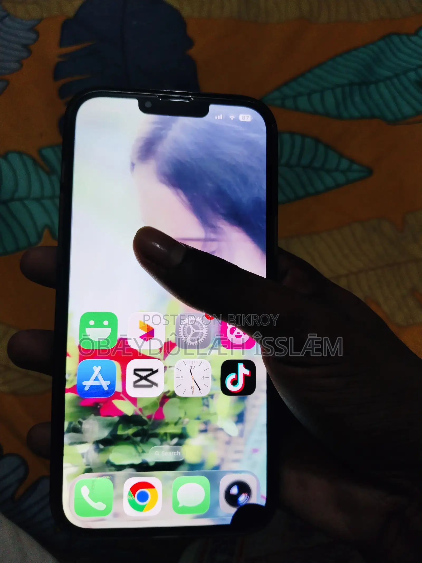 Apple iPhone 13 Pro Max 256 GB Green