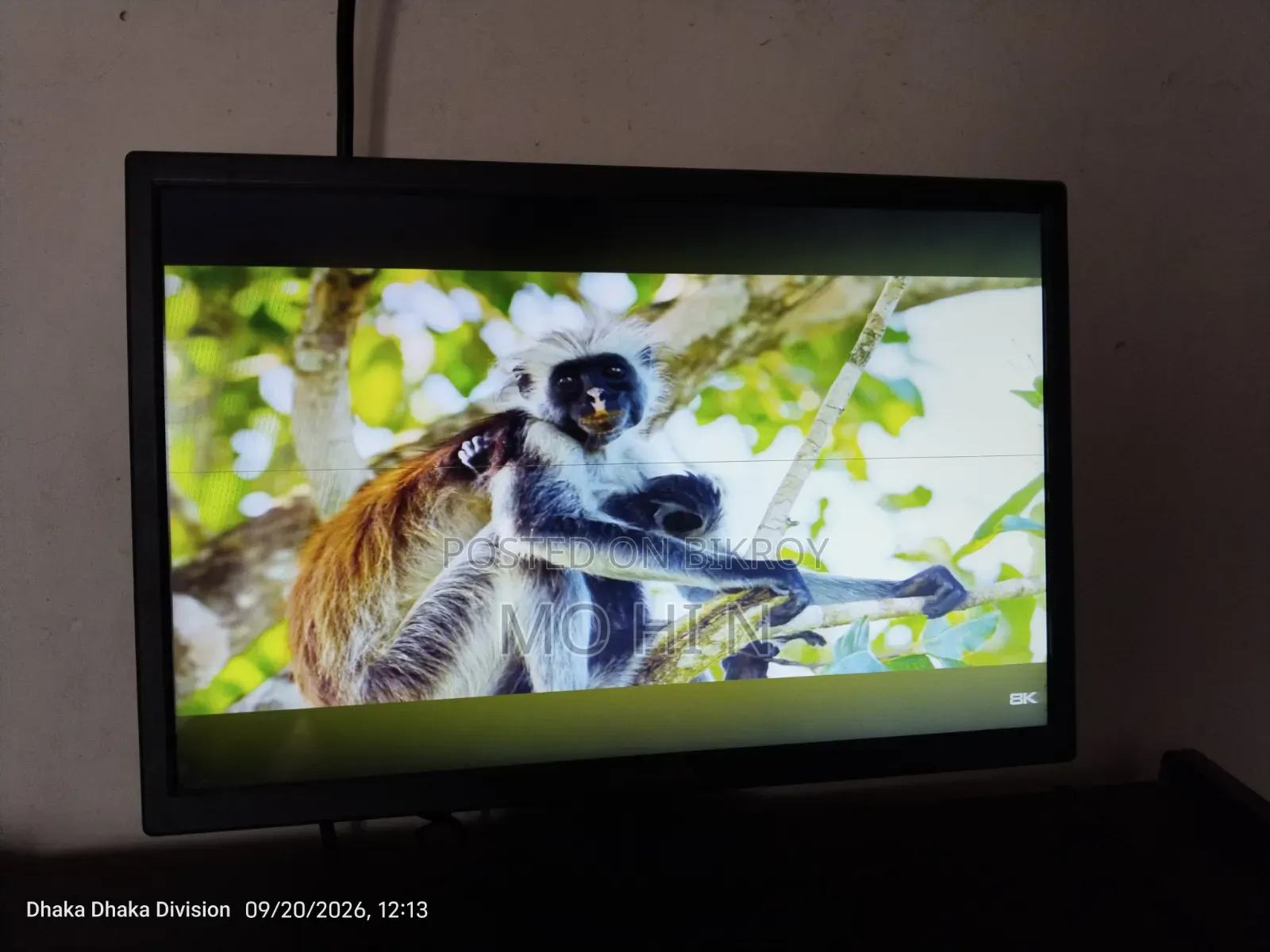 Computer Monitor