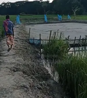 কম মূল্যে পাকা রাস্তার পাশে জমি বিক্রয়