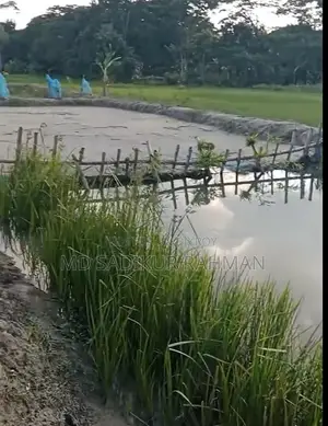 কম মূল্যে পাকা রাস্তার পাশে জমি বিক্রয়