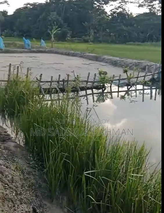 কম মূল্যে পাকা রাস্তার পাশে জমি বিক্রয়