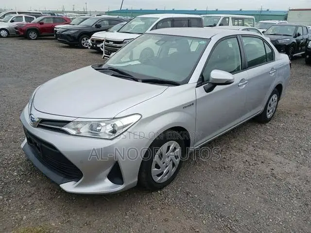 Toyota Axio 2021 Silver