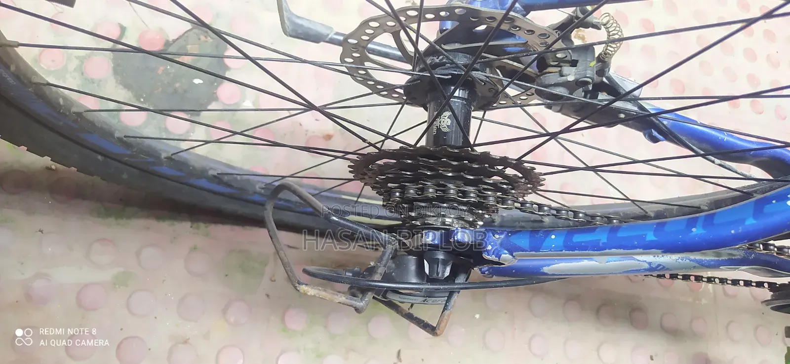 Veloce 603 Full Fresh