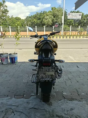 Suzuki Gixxer 2024 Yellow