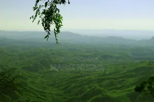 ক্যানন ১৩০০ডি লেন্সসহ