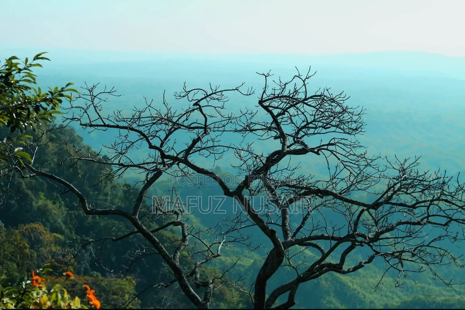 ক্যানন ১৩০০ডি লেন্সসহ