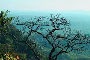 ক্যানন ১৩০০ডি লেন্সসহ
