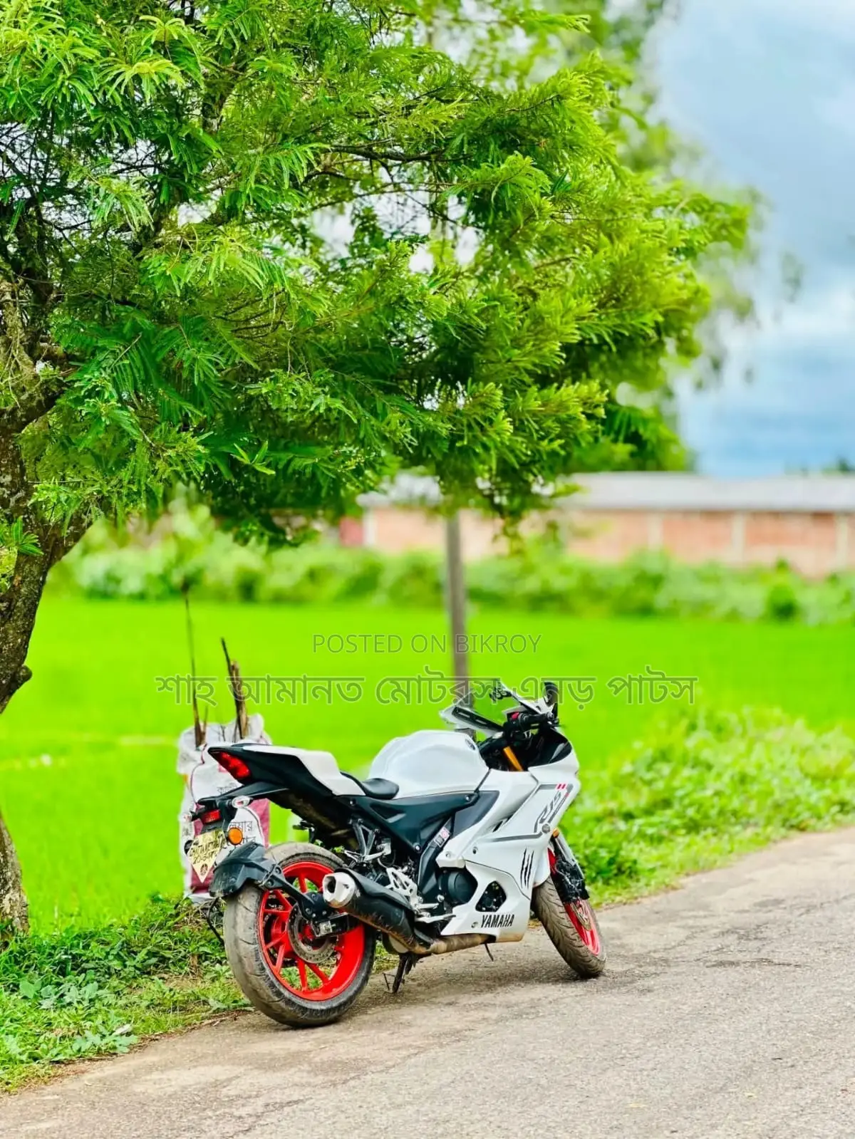 ইয়ামাহা আর১৫এম ২০২৫ সাদা