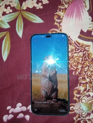 হনর ২০০ লাইট ১২ জিবি গ্রিন