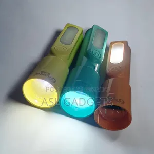 টর্চ লাইট পিএল-০৩৩
