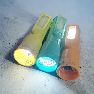 টর্চ লাইট পিএল-০৩৩