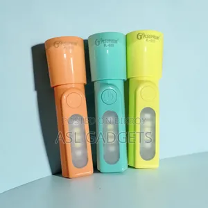টর্চ লাইট পিএল-০৩৩