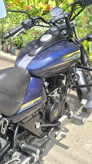Bajaj Avenger 150 Street 2018 Blue