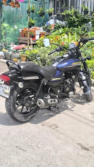 Bajaj Avenger 150 Street 2018 Blue
