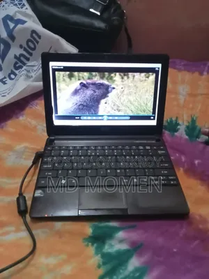 ল্যাপটপ এসার অ্যাসপায়ার ওয়ান ডি২৭০ ২জিবি এইচডিডি ৬০জিবি